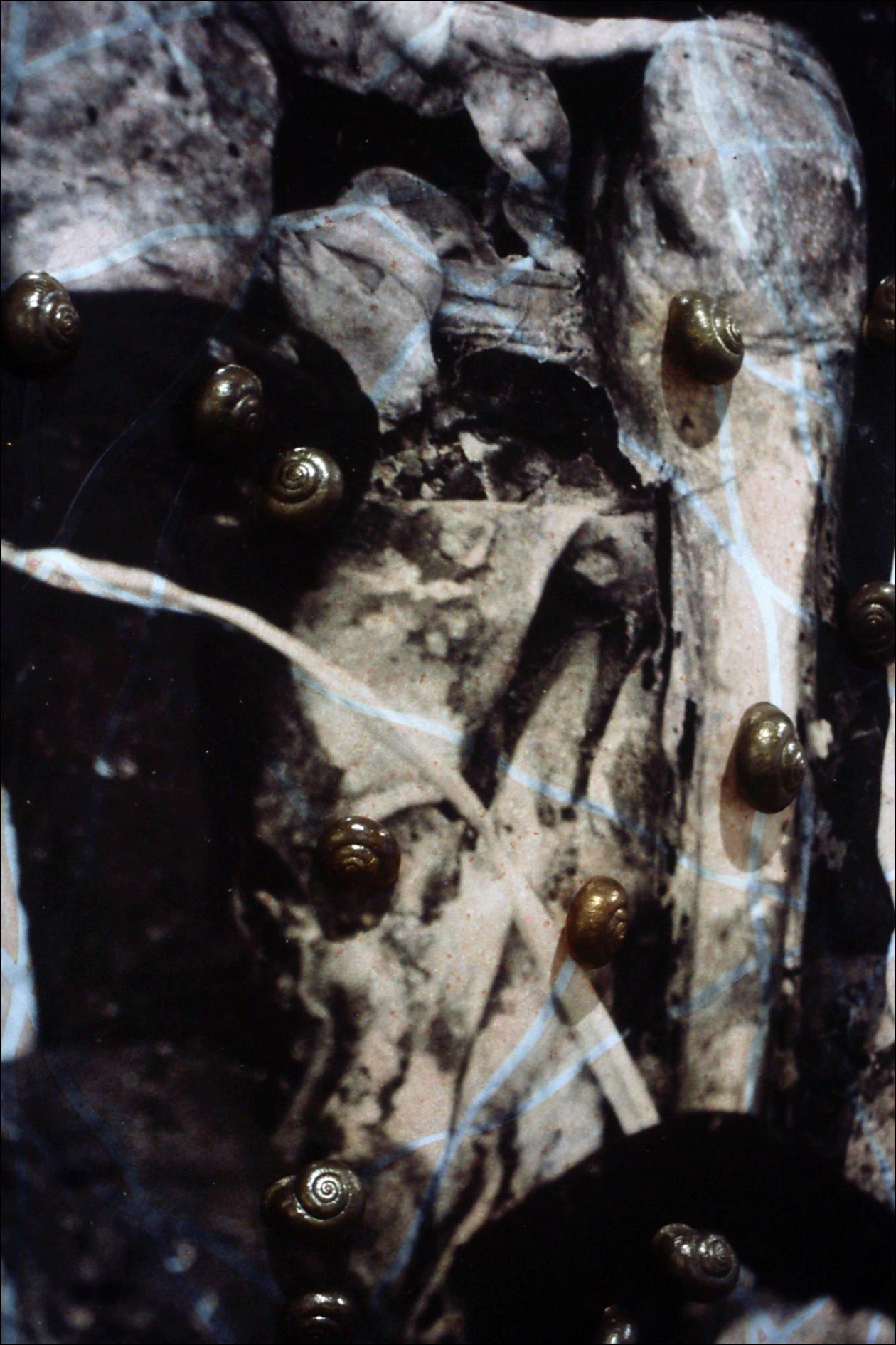 Escultura de Carmen Marcos realizada en (1995) fotografía, bronce y hierro que representa la voracidad del caracol